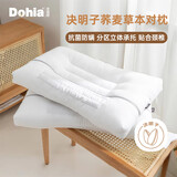 多喜爱 决明子荞麦抗菌防螨花草枕头 学生成人颈椎枕芯 一对装 70*45cm
