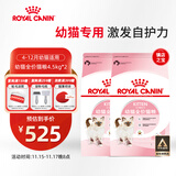 皇家猫粮 幼猫猫粮 幼猫奶糕 K36 通用粮 4-12月 4.5KG*2