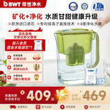 倍世（BWT）净水壶滤水壶净水器家用 欧洲去水垢滤芯 益家4.2L大容量 过滤水壶 厨房客厅通用 【去水垢-加强版】1壶12芯