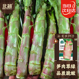 北蔬 红叶莴苣种子红皮大棒脆香耐寒秋冬季蔬菜种籽 红莴笋种子20g