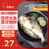 钓鱼记 斑点叉尾鮰鱼1斤-1.3斤 二去净重 冷冻 烤鱼红烧烤生鲜 鱼类海鲜