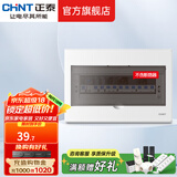 正泰（CHNT）强电箱明装NEX5-C 家用配电箱 家装空气开关断路器空开配电箱 13回路