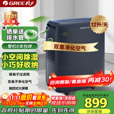 格力（GREE）许我耀眼推荐【轻音小巧 空气净化】除湿机抽湿机家用12升除潮防霉负离子净化单间≤24㎡DH12ENA1A