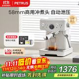 柏翠(petrus)【政府补贴】咖啡机意式浓缩家用小型半自动蒸汽打奶泡PE3833 海盐小方