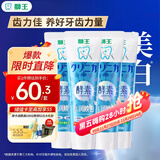 狮王（Lion）齿力佳水润焕白牙膏(绿野柠檬)120g*4护龈美白新老包装随机发货