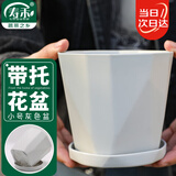 寿禾 花盆家庭园艺盆栽绿萝多肉发财树种植盆 木里盆小号-浅灰