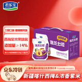君乐宝 涨芝士啦西梅紫米 180g*10壶 低温生鲜 奶酪风味酸牛奶