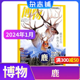 博物杂志 青少年科普百科知识 儿童科普大百科期刊 中小学生通识教育课外阅读 中国国家地理青春版杂志铺单本/半年/全年订阅2026/2025年1月-6月/7月-12月任选非过刊博物君远古动物园 现货博物