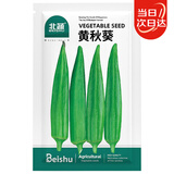 北蔬 秋葵种子种苗四季播种农家秋四季种蔬菜种籽 黄秋葵种子120粒