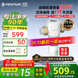 滨特尔（pentair）前置过滤器大通量家用全屋自来水管道40μm过滤器大流量水驱涡轮+反冲洗刮洗净水器 【自主安装】S160升级11T大通量