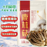 十月稻田 鹿茸菇 150g 高蛋白 脆嫩提鲜 山珍菌菇干货 炒菜煲汤火锅食材