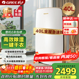 格力（GREE）许我耀眼推荐】除湿机家用抽湿机整屋除潮防霉吸湿器40升/天单间≤72㎡智能控湿干衣抽湿器DH40EH