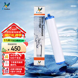 道尔顿（Doulton）【英国原装进口】净水器滤芯 KDF DIP301专用适配滤芯BioTect Ultra 9004型