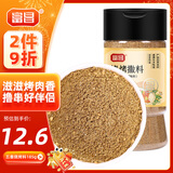 富昌五香烧烤料185g 不辣烤肉烤串佐料新疆烧烤撒料空气炸锅调料