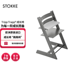 Stokke成长椅源自欧洲宝宝TT餐椅多功能儿童餐椅家用餐桌椅婴儿餐椅 风暴灰+加厚坐垫
