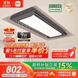 米家智能晾衣机Pro 【国家补贴】小米电动晾衣架超薄嵌入隐藏遥控升降