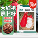 北蔬大红萝卜种子红皮白肉蔬菜籽 卓脆徐州大红袍萝卜种子15g约1400粒