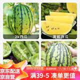 花沃里4款阳台西瓜种子礼包 花盆小西瓜蔬菜种子8424麒麟瓜懒汉西瓜盆栽