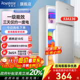 荣事达（Royalstar）小冰箱 租房用小型家用双门电冰箱宿舍冷藏冷冻两用节能 53A136【一级能效】【三天约一度电】银