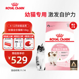皇家幼猫猫粮 幼猫奶糕 K36 通用粮 4-12月 10KG