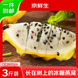京鲜生海南燕窝果麒麟果 净重3斤装 单果200g+ 生鲜水果源头直发