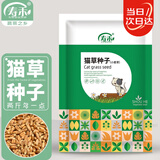 寿禾 猫草种子苗土培水培猫零食草籽 潍育中寿猫草(小麦草)种子1050g