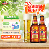 青岛啤酒（TsingTao）金质小棕金拉环工艺原麦汁浓度11°P方便易携带 258mL 12瓶 整箱装