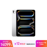 Apple/苹果 iPad Pro 11英寸 M4芯片 2024年新款平板电脑(2TB eSIM版/纳米纹理玻璃/MWRX3CH/A)银色