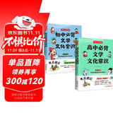 初中+高中必背文学文化常识（2册）中学语文基础知识大全漫画导图速记文言文全解必备古诗文真题考点一本通