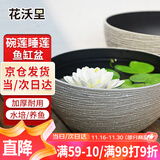 花沃里花盆古法鱼缸碗睡莲盆 塑料加厚大号仿陶瓷盆一叶莲水培荷花盆35#