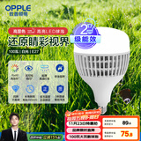 欧普（OPPLE）LED灯泡2级能效灯泡E27螺口商用摆摊大功率厂房工矿灯100瓦白光
