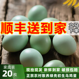 知楚绿壳山鸡蛋90枚新鲜40枚乌鸡蛋60枚正宗农村散养土鸡蛋20枚整箱 20枚丨净含量1.5斤起