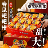 京地达四川春见耙耙柑礼盒 8斤特大果90mm+粑粑柑新鲜水果年货礼盒包邮