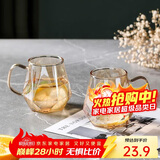 唯铭诺水杯耐高温玻璃杯家用花茶杯喝茶杯子带把水杯琥珀色350ML两只