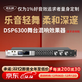 麦乐迪DSP6300卡拉ok混响器 数字音频前级效果器 家庭影院防啸叫调音台处理器含话筒 调音台均衡器 DSP6300蓝牙升级版(含线) 标准版
