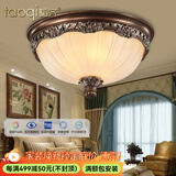 韬齐 欧式吸顶灯客厅现代简约主卧室灯美式阳台灯具 J2003-大号 直径45CM 配单色LED灯泡
