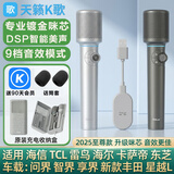 天籁K歌天籁k歌MM-8无线麦克风家用电视k歌话筒适用海信东芝tcl东芝雷鸟vidda卡萨帝海尔问界阿维塔车载 MM-11【充电仓高续航】至尊款高品质音效