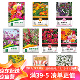 花沃里10款花种子套餐 花卉种子组合太阳花凤仙花向日葵四季种野花种籽