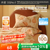 水星家纺枕套纯棉100%全棉磨毛柔感对枕套抑菌A类枕头罩一对装双人48x74cm