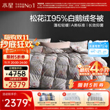 水星家纺羽绒被95%白鹅绒被子冬季加厚冬被芯双人羽绒被200cm×230cm1200g