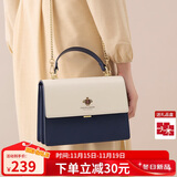 蔻一（Cnoles）包包女包轻奢侈女士小斜挎手提包高端品牌实用生日礼物送女友老婆