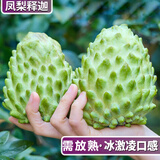 粤迎牛奶凤梨释迦果新鲜番荔枝大目佛头果林檎摩尼果当季水果好吃不贵 3斤精选装【香甜软糯】净2.5斤