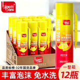 标榜（biaobang）多功能泡沫清洁剂（带刷整箱）汽车内饰皮革座椅去污清洁车居两用