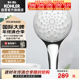 科勒（KOHLER）花洒单喷头 手持花洒氧沐【三功能】手持花洒K-R99063T-CP银色