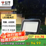 公牛（BULL）LED投光灯户外庭院工厂园林灯露营灯 IP65防水等级100W-6500K白光