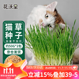 花沃里猫草种子50g*2包小麦草籽 花种子水培盆栽土太阳花卉种子阳台庭院
