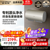 史密斯（A.O.SMITH）佳尼特80升国家补贴电热水器 金圭内胆双棒分离速热 免换镁棒 免清洗 【银河】CTE-80JC3 以旧换新