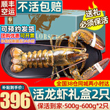 首鲜道【活鲜】波士顿龙虾鲜活波龙 大龙虾海鲜鲜活礼盒大虾年货礼盒 500-600g/只大龙虾*2只