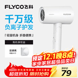 飞科（FLYCO）负离子电吹风机家用便携出游速干冷热风大功率吹风筒FH6276