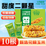 十月稻田 花甜糯玉米 10根 4.4斤 早餐代餐 低脂杂粮 粗粮礼盒